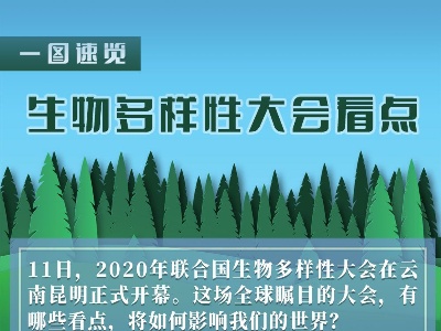 这场大会，为何全球瞩目？——2020年联合国生物多样性大会四大看点透视