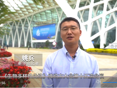 全球连线丨从里约到昆明，共同见证生物多样性公约的发展历程