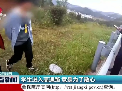 学生进入高速路 竟是为了散心