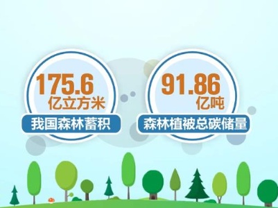 【共赴春城之约】科普 | 碳汇：用生态手段减少温室气体浓度