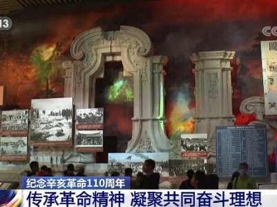纪念辛亥革命110周年 | 传承革命精神 凝聚共同奋斗理想