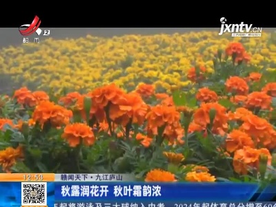 【赣闻天下】九江庐山：秋露润花开 秋叶霜韵浓