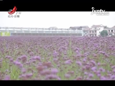 稻花香里20211019 乡村发现——当科技遇上蔬果田园