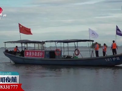 鄱阳湖水位缓降 加强巡护江豚核心保护区