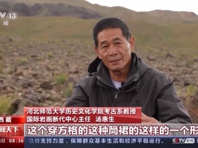 剪影式牦牛、绶带鸟、盘羊......藏北凿刻岩画中的精灵背后藏着这些秘密
