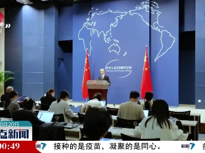 外交部评美国倡议举办“民主峰会”：民主不是推行霸权的幌子