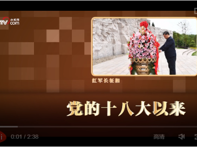 微视频丨追随