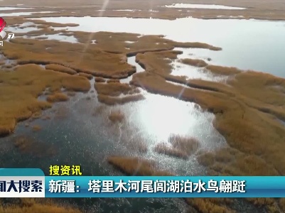 新闻大搜索20211029