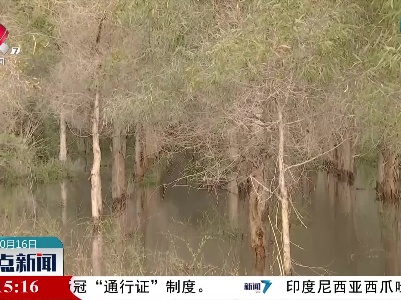 新疆：2亿方生态水让孔雀河下游焕发生机