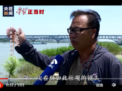 我们的共同家园丨保护生物多样性，中国就这么给力！