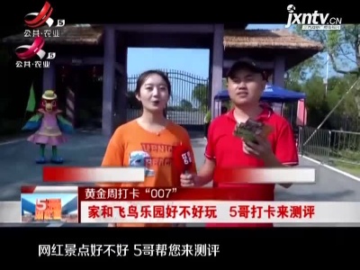 【黄金周打卡“007”】家和飞鸟乐园好不好玩 5哥打卡来测评