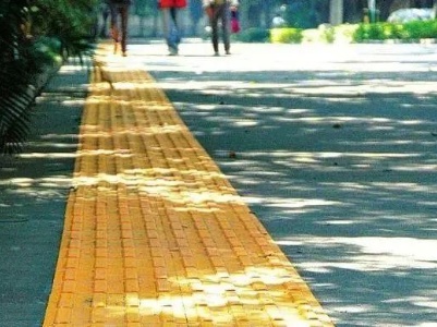 盲道怎就帮了“道盲”？