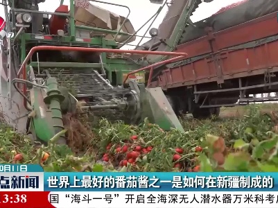 世界上最好的番茄酱之一是如何在新疆制成的