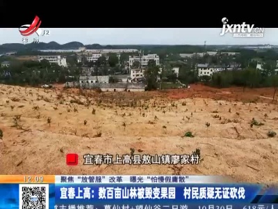 【聚焦“放管服”改革 曝光“怕慢假庸散”】宜春上高：数百亩山林被毁变果园 村民质疑无证砍伐