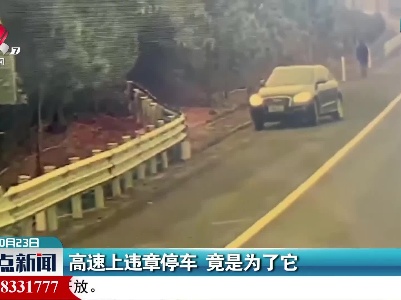高速上违章停车 竟是为了它
