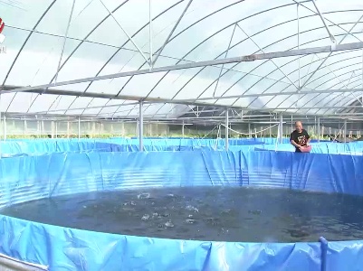 上高：打造“圆桶”养鱼新模式