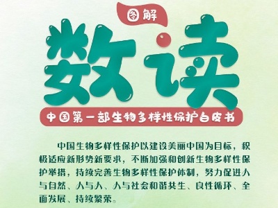 我们的共同家园 | COP15来了！中国首发新领域白皮书 惊喜多看点足