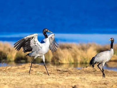 在“山积而高，泽积而长”中保护生物多样性