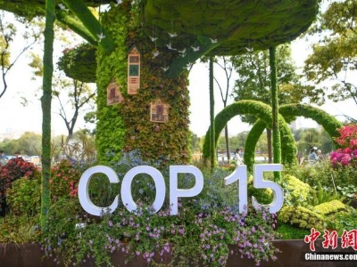 COP15今日开幕 哪些“重头戏”值得期待？