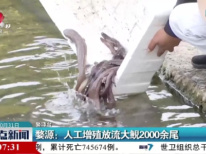 婺源：人工增殖放流大鲵2000余尾