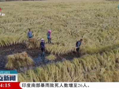 黑龙江五常：聚焦大米高质量生产