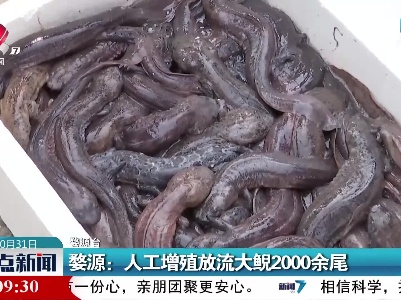 婺源：人工增殖放流大鲵2000余尾