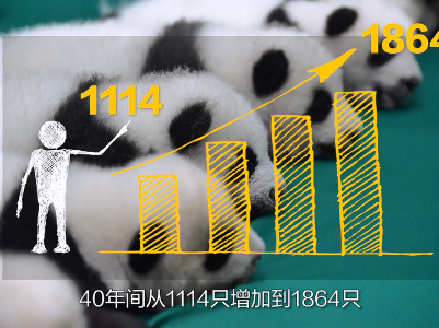 【国际3分钟】“昆明时刻”开启 世界点赞中国这张答卷！