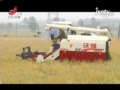 三农要闻20211018