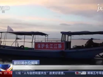 【鄱阳湖水位缓降】江西：加强巡护江豚核心保护区