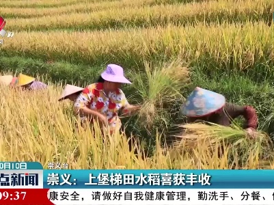 崇义：上堡梯田水稻喜获丰收