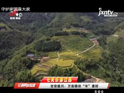 【七天乐游江西】吉安遂川：万亩梯田“丰”景好