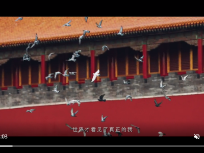【微视频|见证】50年了，看中国交出的答卷！
