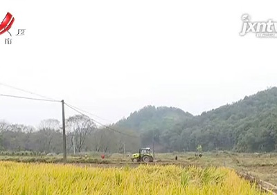 【聚焦“放管服”改革 曝光“怕慢假庸散”】后续·鹰潭贵溪：完善灌溉设施 抛荒农田已复耕