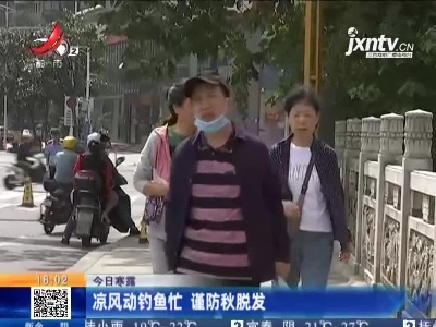 【今日寒露】凉风动钓鱼忙 谨防秋脱发