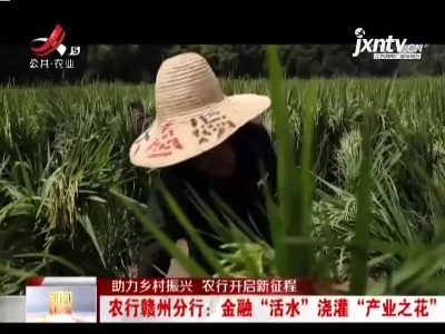 【助力乡村振兴 农行开启新征程】农行赣州分行：金融“活水”浇灌“产业之花”