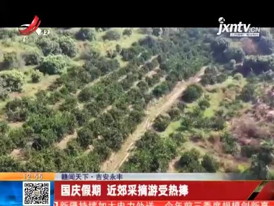 【赣闻天下】吉安永丰：国庆假期 近郊采摘游受热捧