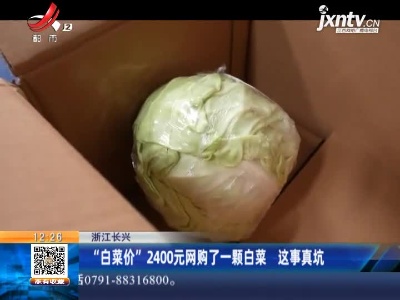 浙江长兴：“白菜价”2400元网购了一颗白菜 这事真坑