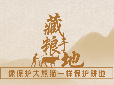 端牢“中国饭碗”，总书记这样说