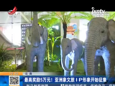 云南：最高奖励5万元！亚洲象文旅IP形象开始征集