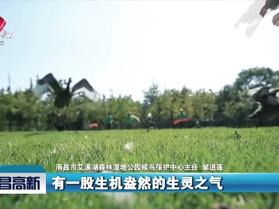 南昌高新新闻20211005