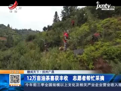 【赣闻天下】抚州广昌：12万亩油茶喜获丰收 志愿者帮忙采摘