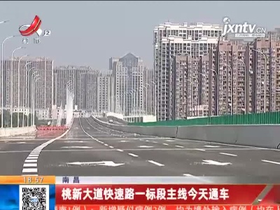 南昌：桃新大道快速路一标段主线今天通车
