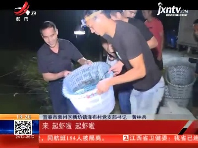 【国庆长假】宜春：“黑咕隆咚”卖虾忙