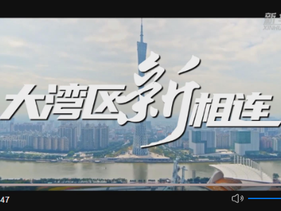 新思想引领新征程·时代答卷丨湾区立南海 当惊世界殊——习近平总书记谋划推动粤港澳大湾区建设谱写“一国两制”新篇章