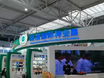 粮安天下 良种先行 | 第28届杨凌农高会聚焦新技术应用