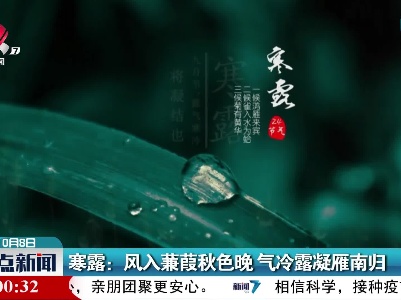 寒露：风入蒹葭秋色晩 气冷露凝雁南归