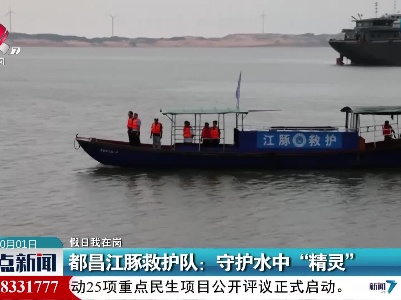 【假日我在岗】都昌江豚救护队：守护水中“精灵”