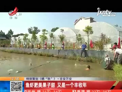 【特别策划《晒“秋”》】吉安万安：鱼虾肥美果子甜 又是一个丰收年