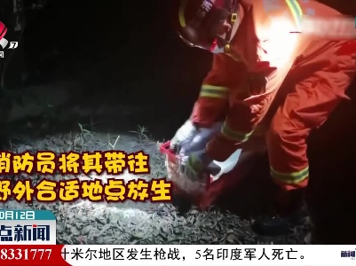 臭臭臭！这是一场有味道的抓捕