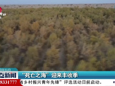 “死亡之海”迎来丰收季